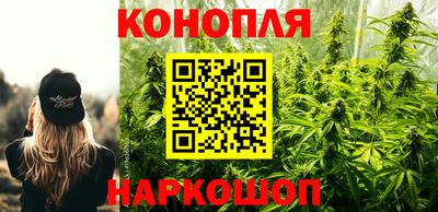 jwh Новозыбков