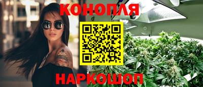 jwh Новозыбков