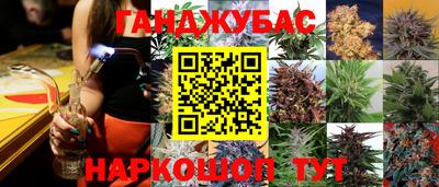 МДПВ Новокубанск
