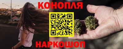 jwh Новозыбков