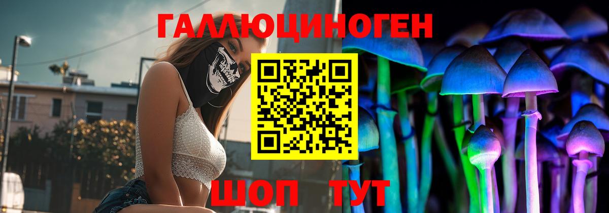 Псилоцибиновые грибы GOLDEN TEACHER  Галлюциногенные грибы GOLDEN TEACHER  Вход с VPN  Тосно 